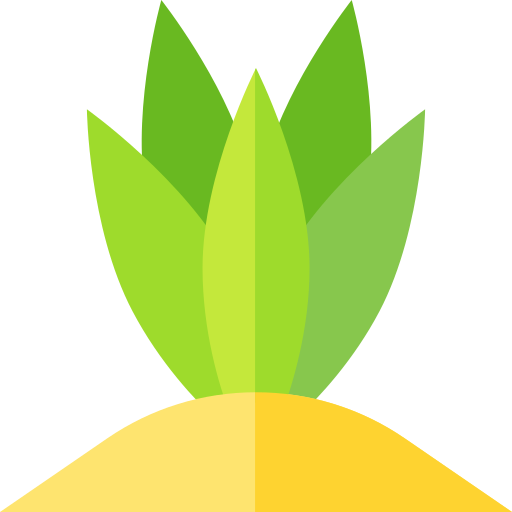agave Basic Straight Flat icoon