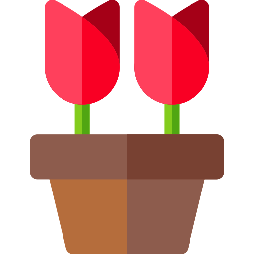 Roses Basic Rounded Flat icon