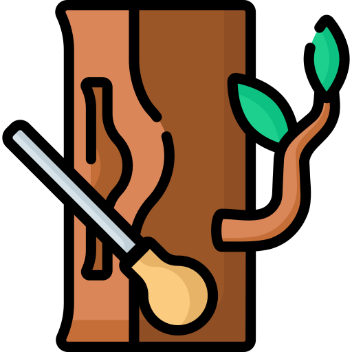 나무 조각 Special Lineal color icon