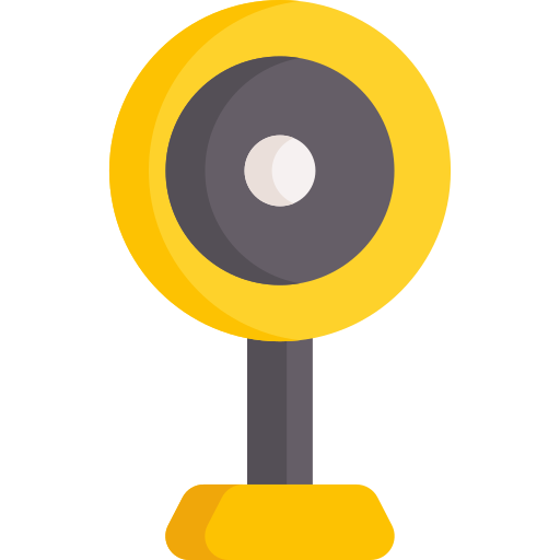 Webcam Special Flat icon