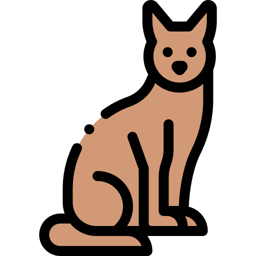 katze Detailed Rounded Lineal color icon