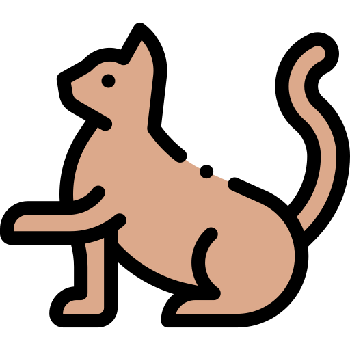 고양이 Detailed Rounded Lineal color icon