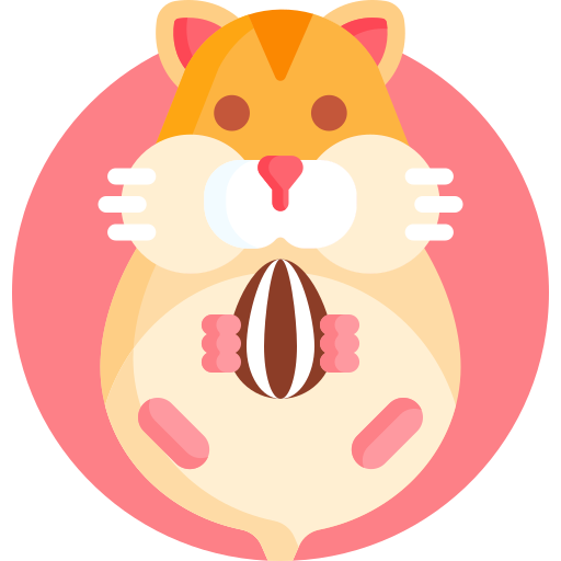 hamster Detailed Flat Circular Flat icon