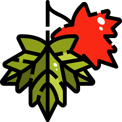 Maple leaf Justicon Lineal Color icon