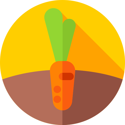 wortel Flat Circular Flat icoon