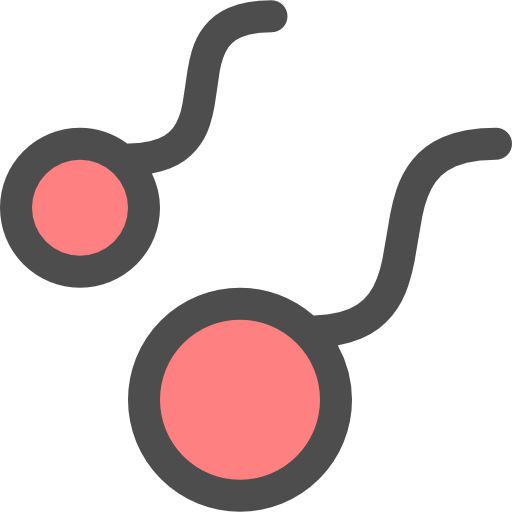 Sperm Smooth Rounded Color icon