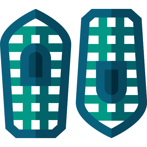 scarpe da neve Basic Straight Flat icona