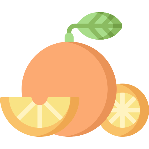 laranjas Special Flat Ícone
