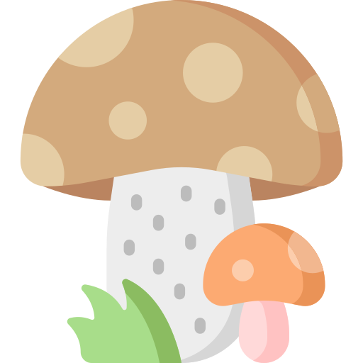 cogumelos Special Flat Ícone