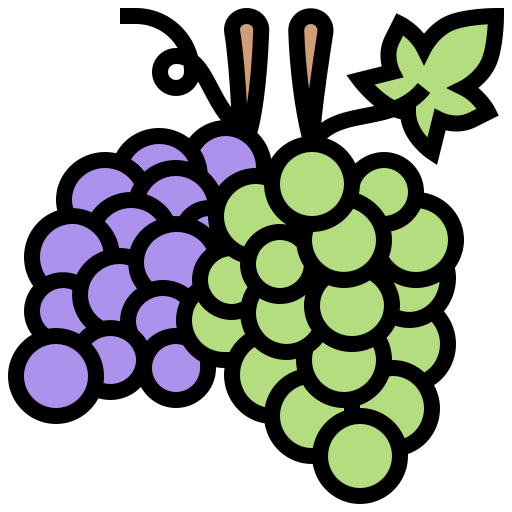 winogrona Meticulous Lineal Color ikona