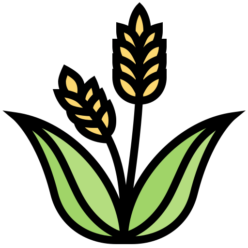 小麦 Meticulous Lineal Color icon