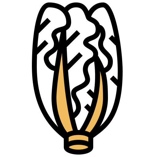 レタス Meticulous Yellow shadow icon