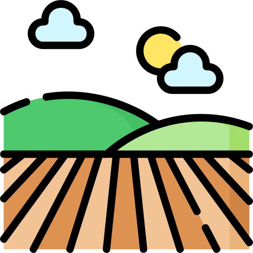 Fields Special Lineal color icon