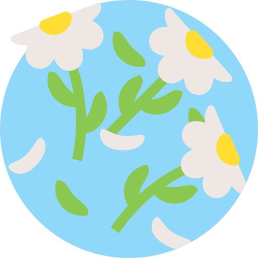 Daisy Detailed Flat Circular Flat icon