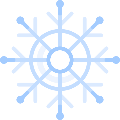 sneeuwvlok Special Flat icoon