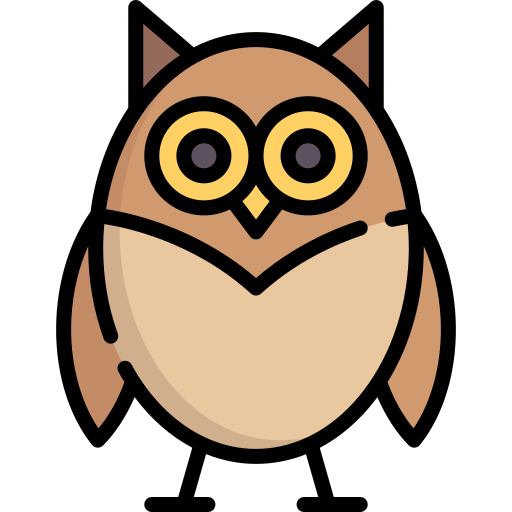 Owl Special Lineal color icon