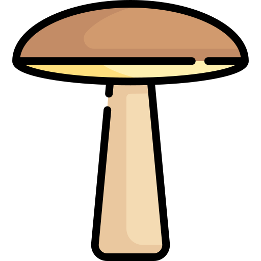 pilz Special Lineal color icon