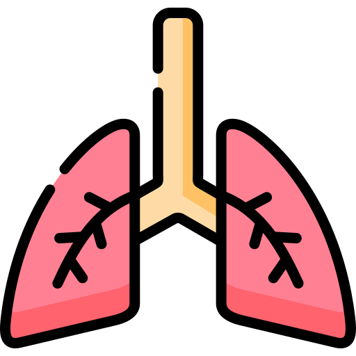 肺 Special Lineal color icon