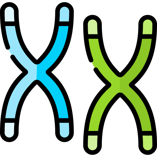 chromosom Special Lineal color icon