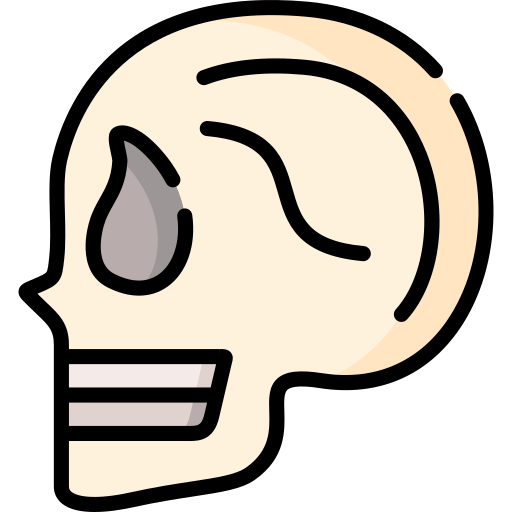 두개골 Special Lineal color icon