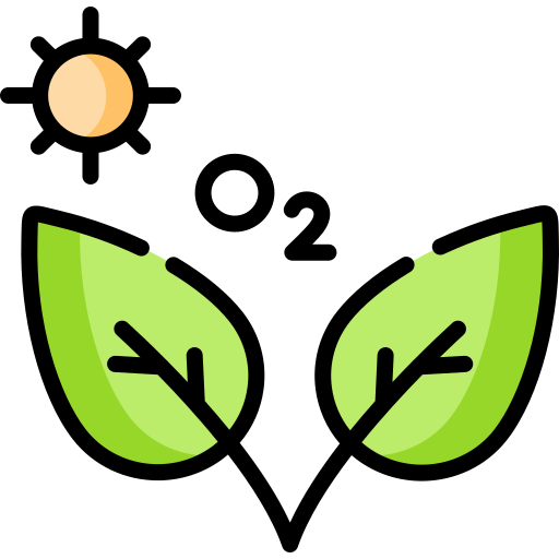 fotosintesi Special Lineal color icona