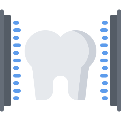 molar Coloring Flat icon