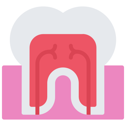 大臼歯 Coloring Flat icon