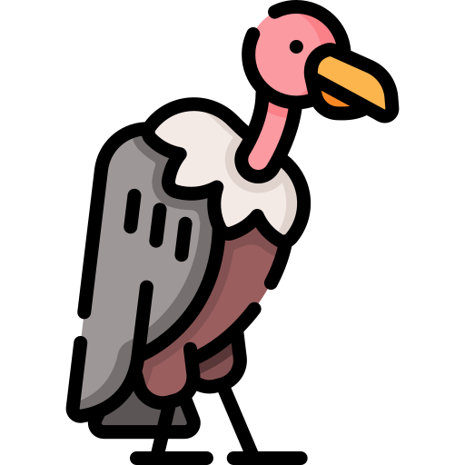 vautour Special Lineal color Icône
