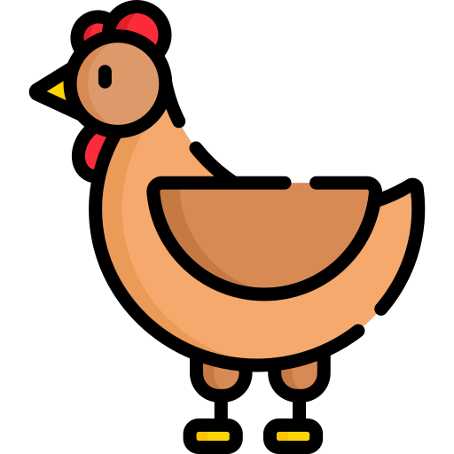 pollo Special Lineal color icona