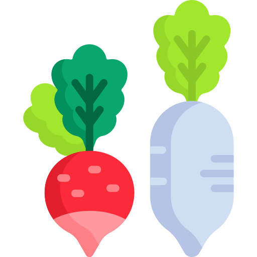 Radish Special Flat icon