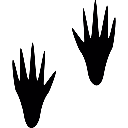 アライグマの足跡  icon