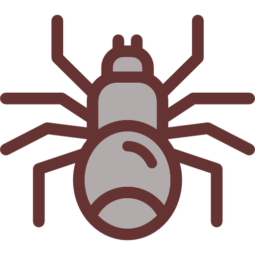 araignée Detailed Rounded Lineal color Icône