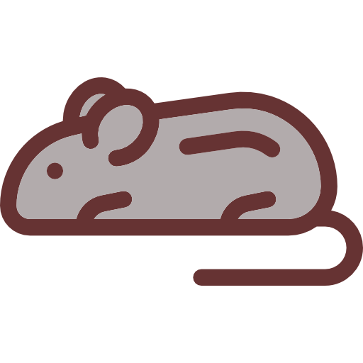 생쥐 Detailed Rounded Lineal color icon