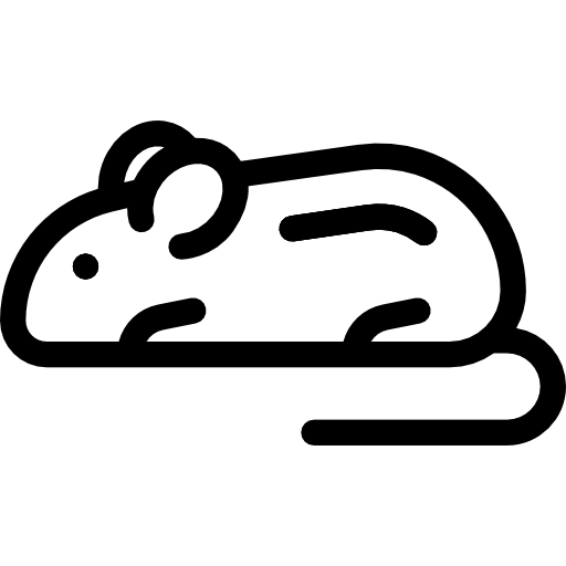 maus Detailed Rounded Lineal icon