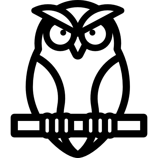 hibou Detailed Rounded Lineal Icône