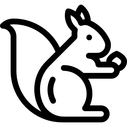 Squirrel Detailed Rounded Lineal icon