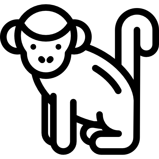 Monkey Detailed Rounded Lineal icon