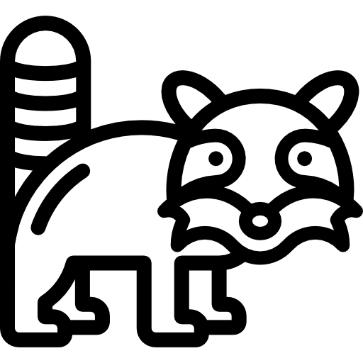waschbär Detailed Rounded Lineal icon
