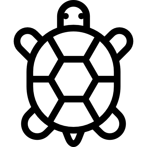 tartaruga Detailed Rounded Lineal icona