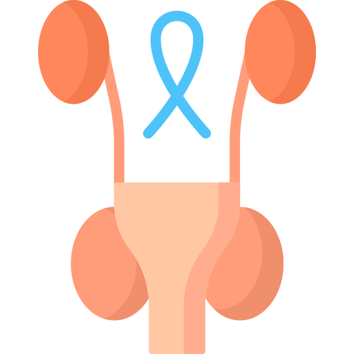 Prostate Special Flat icon