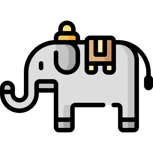 elefant Special Lineal color icon