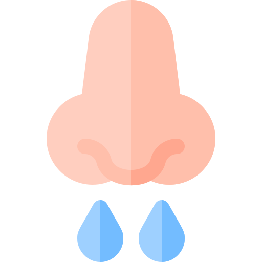 Nose Basic Rounded Flat icon