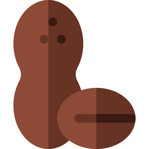 Peanut Basic Rounded Flat icon