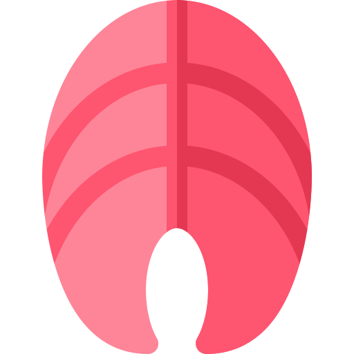 鮭 Basic Rounded Flat icon