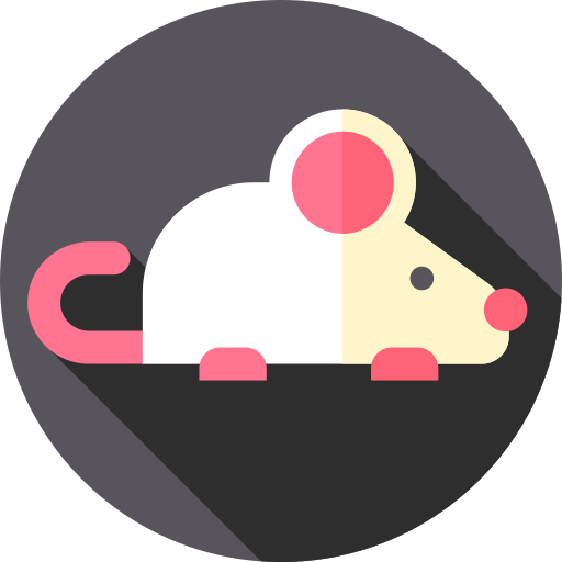ratte Flat Circular Flat icon