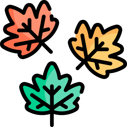 Leaf Kawaii Lineal color icon