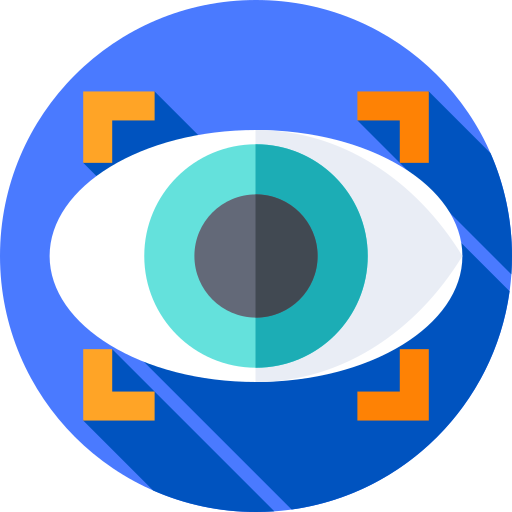 Vision Flat Circular Flat icon