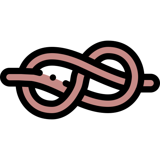 Sea knot Detailed Rounded Lineal color icon