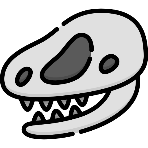 Skull Special Lineal color icon