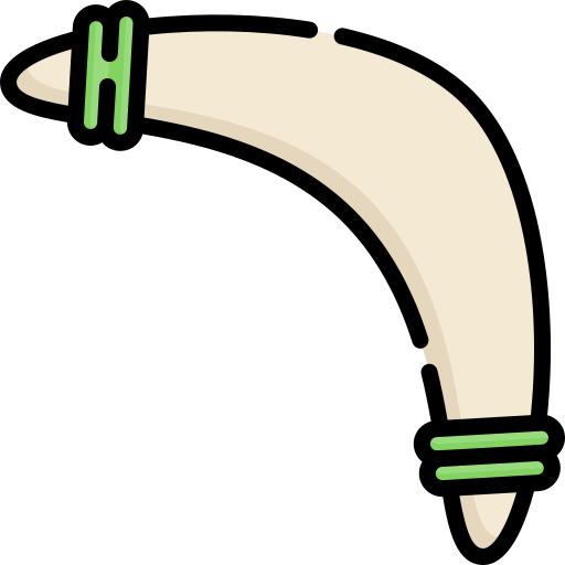 boomerang Special Lineal color icon